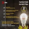 Фитолампа для растений Эра ФИТО A65-20W-PFR-E27-GR Б0068577 Б0068577 - 4