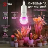 Фитолампа для растений Эра ФИТО A65-20W-PL-E27-GR Б0068597 Б0068597 - 3