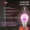 Фитолампа для растений Эра ФИТО A65-20W-PL-E27-GR Б0068597 Б0068597 - 4