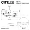 Люстра на штанге Citilux Alton CL421252 CL421252 - 8
