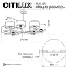 Люстра на штанге Citilux Alton CL421272 CL421272 - 8