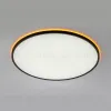 Потолочный светильник Citilux Norma CL749601 CL749601 - 6