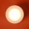 Настенный светильник Freya Retro FR5603WL-L8W FR5603WL-L8W - 9