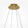 Подвесной светильник Maytoni Trove MOD486PL-L38BSK MOD486PL-L38BSK - 5