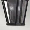 Уличный настенный светильник Feiss FE-COTSLN7-BK FE-COTSLN7-BK - 4