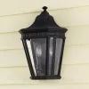 Уличный настенный светильник Feiss FE-COTSLN7-BK FE-COTSLN7-BK - 5
