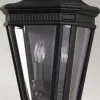 Уличный настенный светильник Feiss FE-COTSLN7-BK FE-COTSLN7-BK - 3
