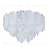 Потолочный светильник Indigo Bellezza 12059/7C Chrome V000584 V000584 - 2