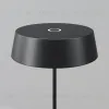 Уличный переносной аккумуляторный светильник Maytoni Porto O540TL-L2BCCT O540TL-L2BCCT - 4