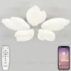 Потолочная люстра Natali Kovaltseva Effect LED LAMPS 81116 LED LAMPS 81116 - 1