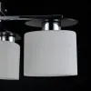 Потолочная люстра Freya Bice FR5101-CL-04-CN FR5101-CL-04-CN - 4