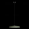 Подвесной светильник Loft IT Plato 10119 Green 10119 Green - 4