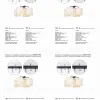 Потолочная люстра Vitaluce V28820-1/4PL V28820-1/4PL - 4