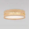 Потолочный светильник TK Lighting 11791 Dorma a073058 11791 Dorma - 1