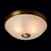 Потолочный светильник MW-Light Ангел 295013402 295013402 - 2