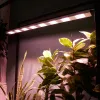 Светильник для растений Uniel ULT-P70B-100W/SPLE/L105 WHITE WINTERGARDEN UL-00011264 ULT-P70B-100W/SPLE/L105 WHITE WINTERGARDEN - 7