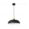 Подвесной светильник Arte Lamp Kayla A7099SP-1BK A7099SP-1BK - 1