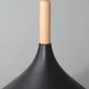 Подвесной светильник Arte Lamp Kayla A7101SP-1BK A7101SP-1BK - 4