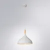 Подвесной светильник Arte Lamp Kayla A7101SP-1WH A7101SP-1WH - 2