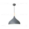 Подвесной светильник Arte Lamp Kayla A7101SP-1GY A7101SP-1GY - 1