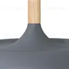 Подвесной светильник Arte Lamp Kayla A7102SP-1GY A7102SP-1GY - 4