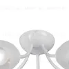 Потолочная люстра Vitaluce V3405-0/5PL V3405-0/5PL - 4