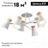 Потолочная люстра Evoluce Alfeo SLE1252-502-06 SLE1252-502-06 - 2