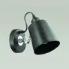 Спот Lumion Neropius 3532/1W 3532/1W - 3