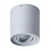 Потолочный светильник Arte Lamp Falcon A5645PL-1GY A5645PL-1GY - 1