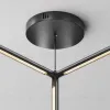 Потолочная чаша для ввода питания с блоком питания Maytoni Shelf CA031B-B CA031B-B - 2