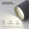 Уличный потолочный светильник Apeyron Graphite 11-115 11-115 - 2