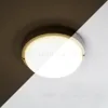 Настенно-потолочный светильник Feron AL3018 41892 41892 - 3