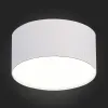 Накладной светильник ST Luce ST606.542.12 ST606.542.12 - 4