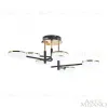 Потолочная люстра Arte Milano Ferrara 272999/6 BK/GD 272999/6 BK/GD - 6
