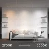 Трековый магнитный светильник Maytoni Technical Basis Radity TR080-4-10WTW-W TR080-4-10WTW-W - 4