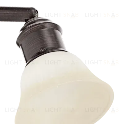 Спот Eglo Alamo 89058 89058