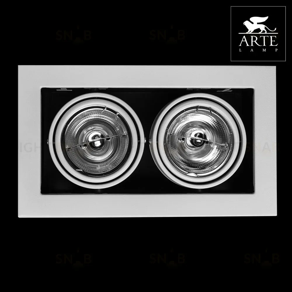 Встраиваемый светильник Arte Lamp Technika A5930PL-2WH A5930PL-2WH