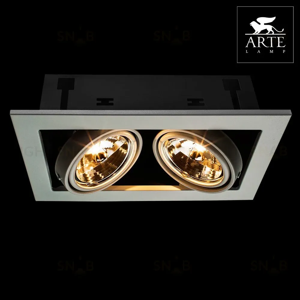 Встраиваемый светильник Arte Lamp Technika A5930PL-2WH A5930PL-2WH