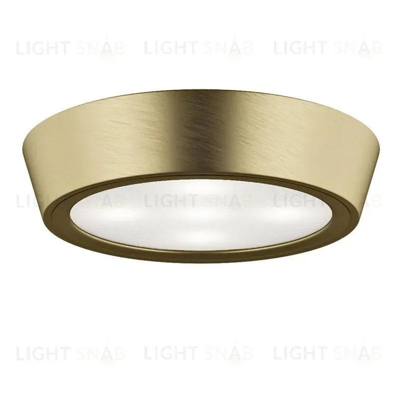 Потолочный светильник Lightstar Urbano Mini LED 214712 214712