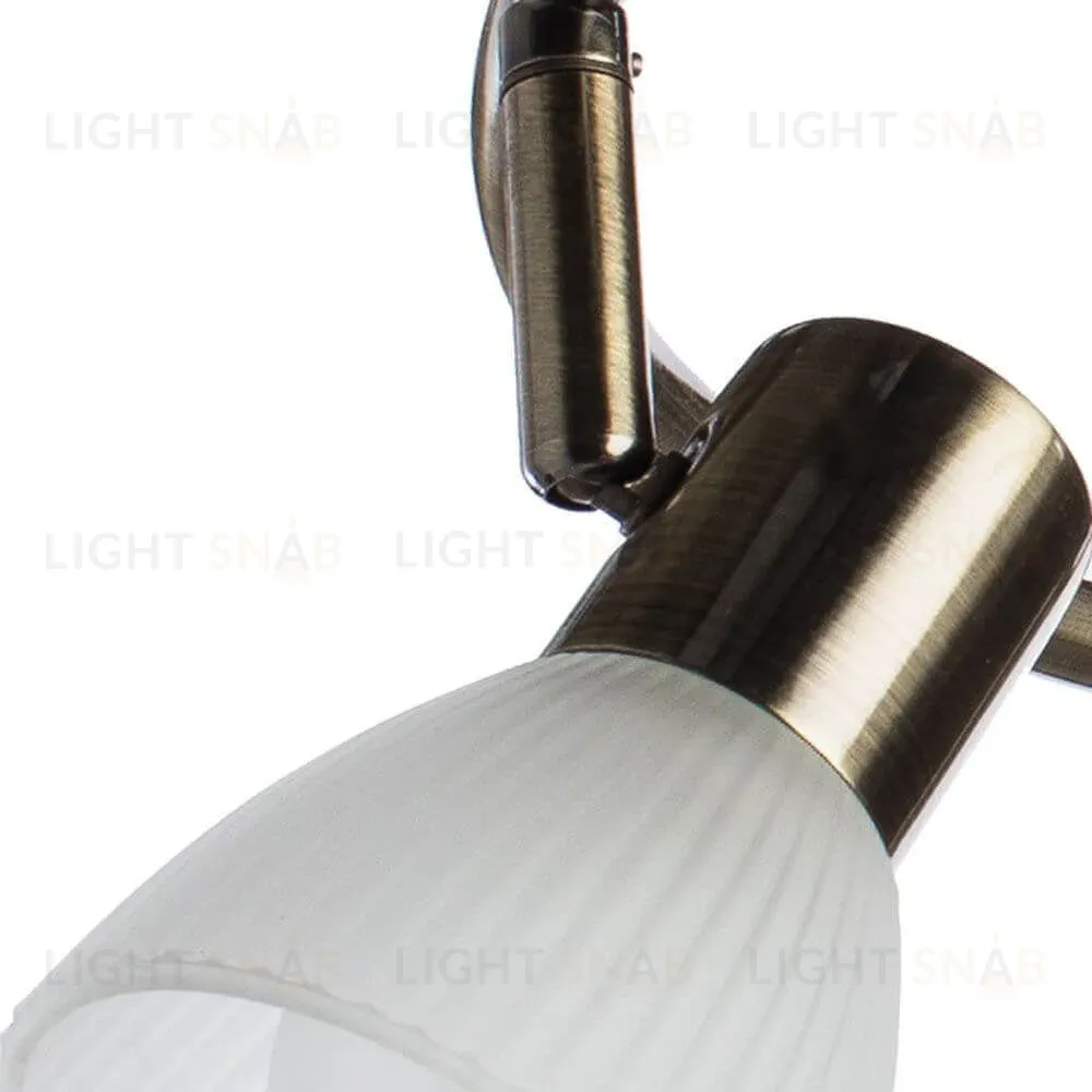 Спот Arte Lamp Parry A5062PL-3AB A5062PL-3AB