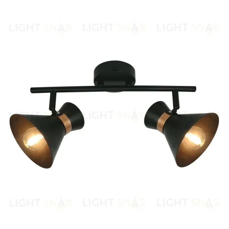 Спот Arte Lamp Baltimore A1406AP-2BK A1406AP-2BK