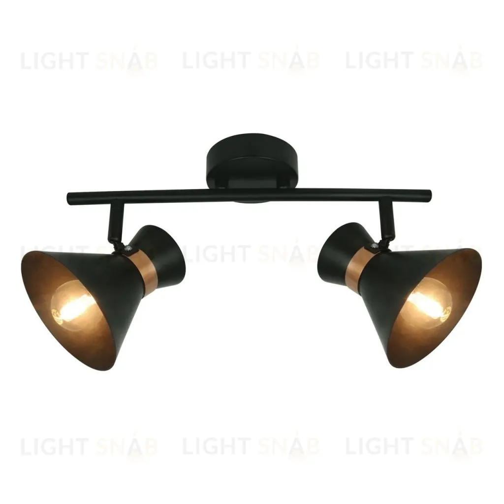 Спот Arte Lamp Baltimore A1406AP-2BK A1406AP-2BK