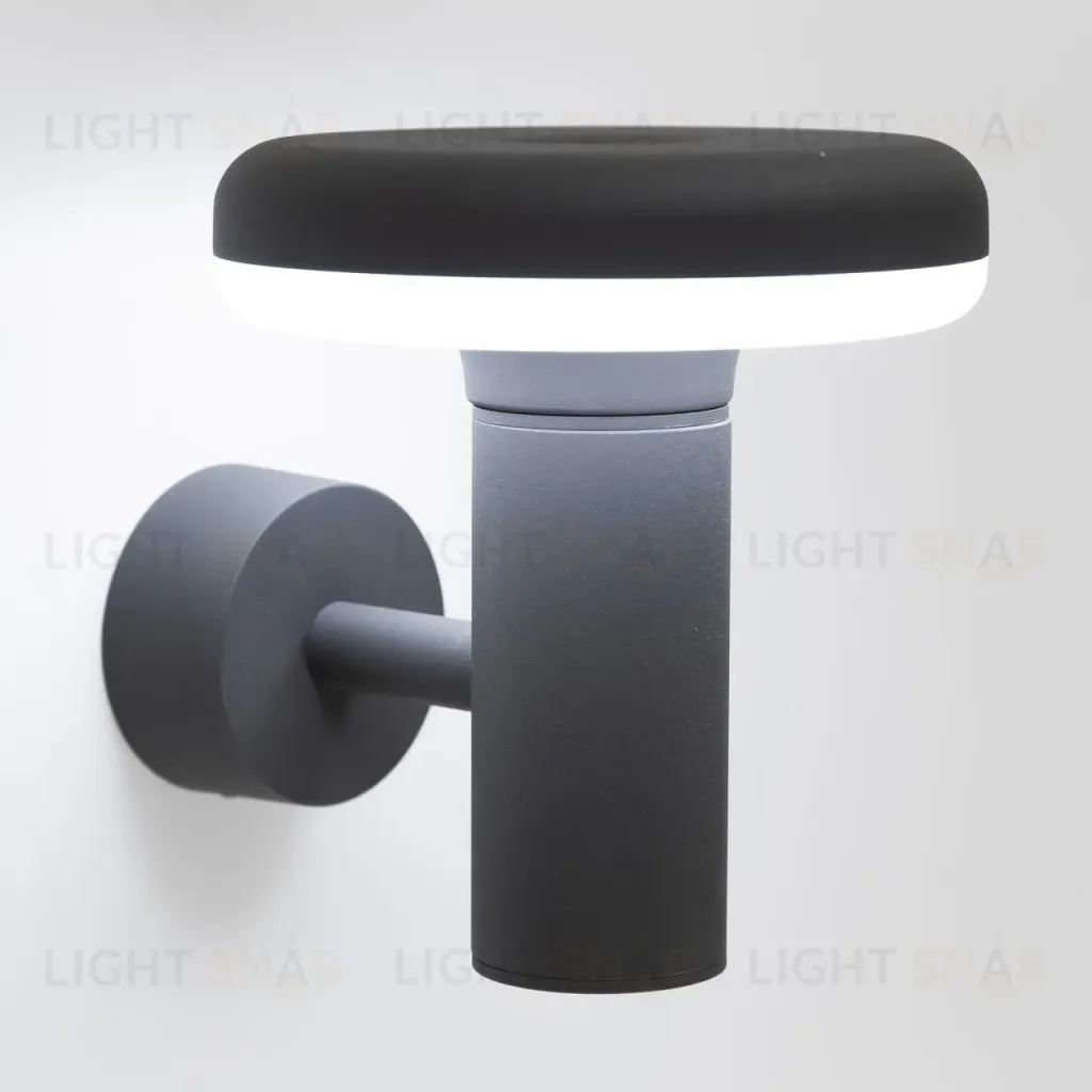 Уличный настенный светодиодный светильник Citilux CLU01W CLU01W