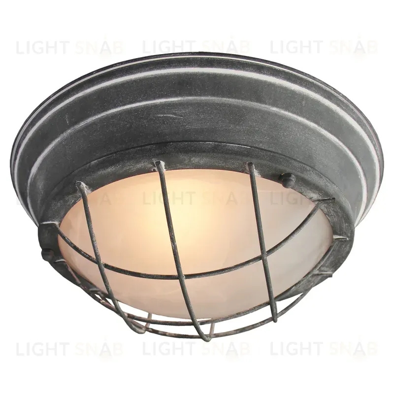 Потолочный светильник Lussole Loft LSP-9881 LSP-9881