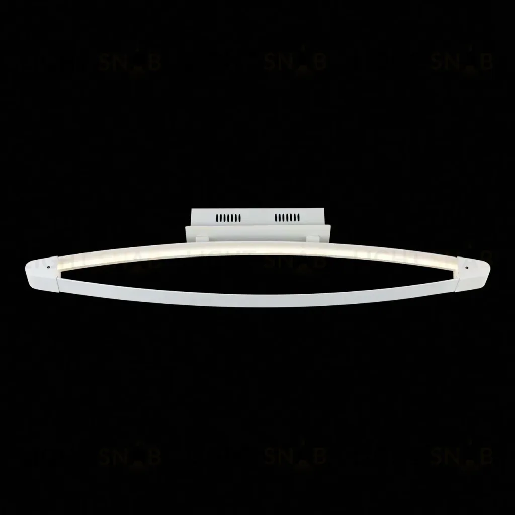 Потолочный светодиодный светильник ST Luce SL920.102.01 SL920.102.01