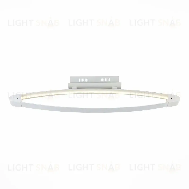 Потолочный светодиодный светильник ST Luce SL920.102.01 SL920.102.01