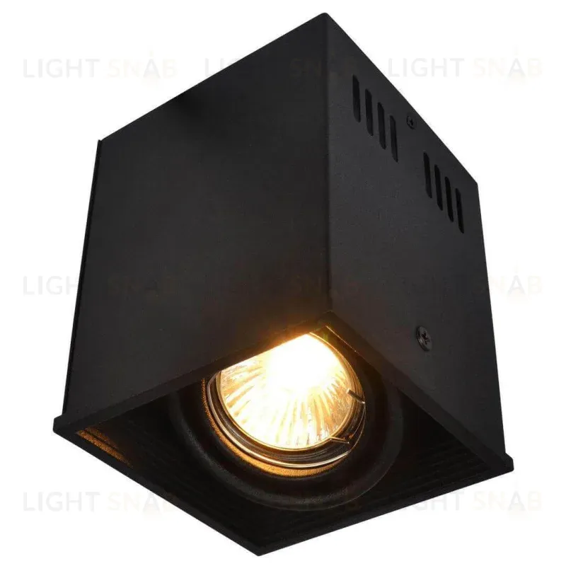Потолочный светильник Arte Lamp Cardani A5942PL-1BK A5942PL-1BK