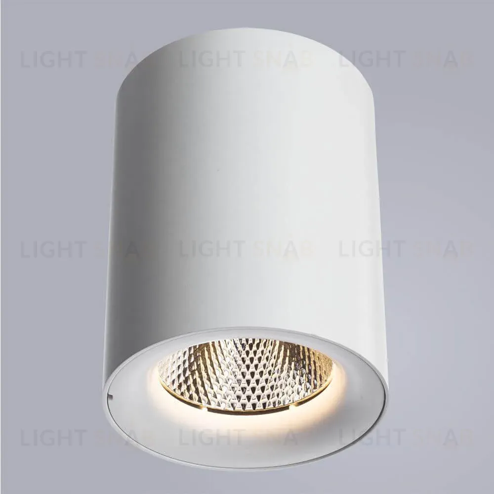 Потолочный светодиодный светильник Arte Lamp Facile A5118PL-1WH A5118PL-1WH