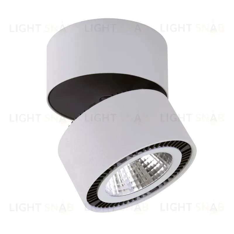 Потолочный светодиодный светильник Lightstar Forte Muro 214830 214830