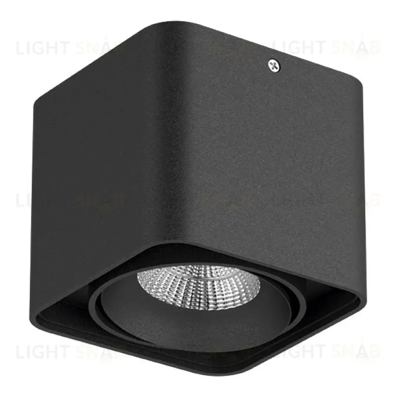 Потолочный светильник Lightstar Monocco 212517 212517